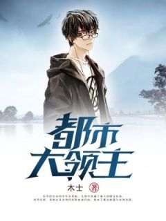 《都市大领主》宋青城蔡小琴完结版精彩试读