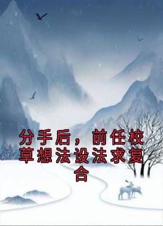 分手后，前任校草想法设法求复合完整版在线阅读（主角贺霆之乔时柠）