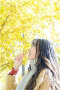 入京待嫁，未婚夫却娶了冒牌千金