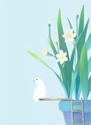 顾淮沈清歌柳云月小说全集免费在线阅读（南风拂我意）