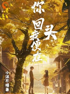 《你回头，我便在》小说全文精彩章节免费试读（周晚清谢南洲）