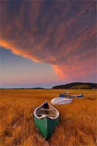 选个兽夫好种田