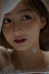 万木春来风