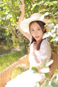 何事秋风悲画扇