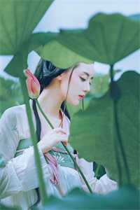 爱与执念皆虚无