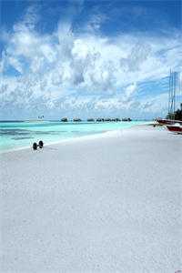 再无明月送清风