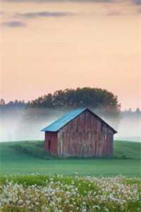 脱离世界后，骗我失忆的攻略对象悔疯了