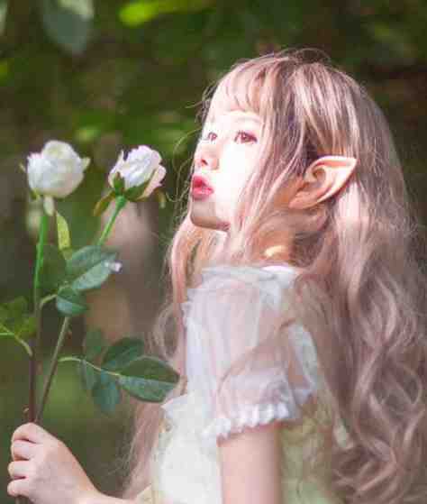 愿你不染人间愁