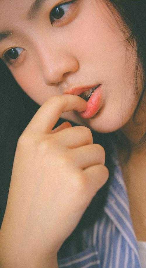 叶闻枝云岫免费小说_叶闻枝云岫全文阅读目录